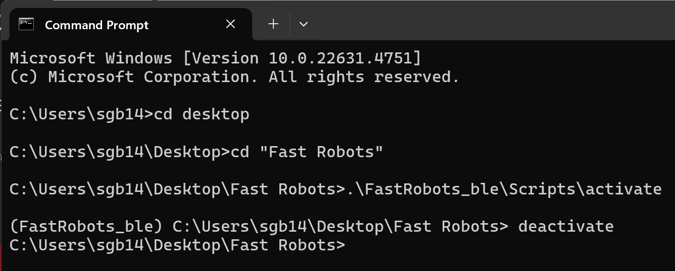 Screenshot showing virtual environment setup in command prompt